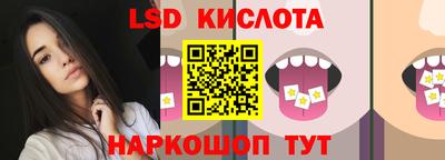 индика Ставрополь