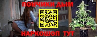 индика Ставрополь